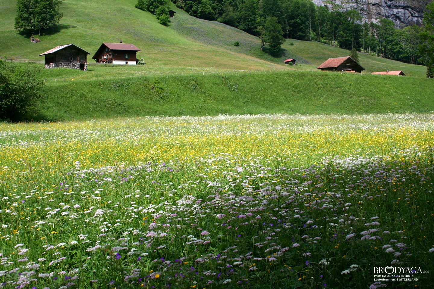 Lauterbrunnen